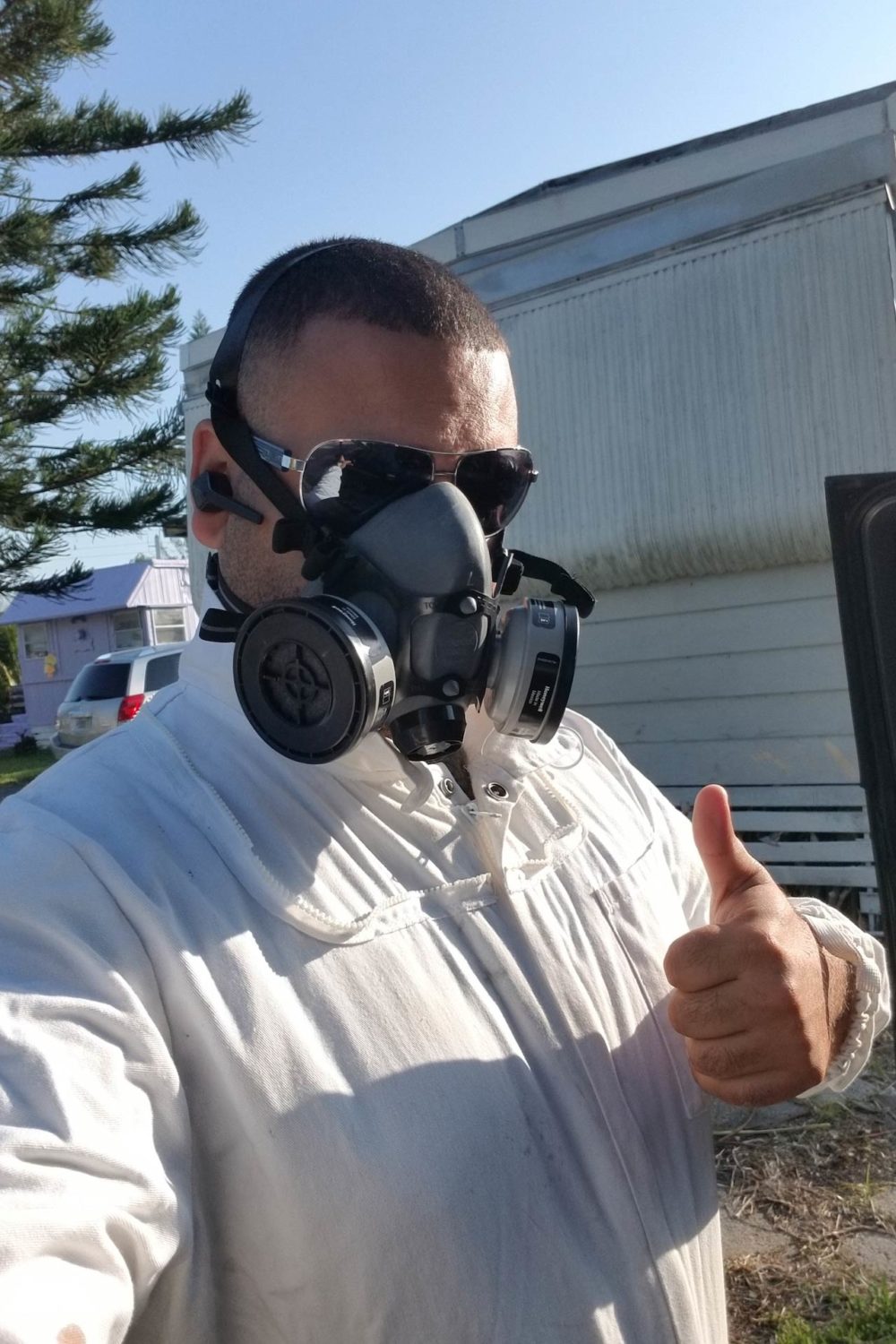 bee removal specialist